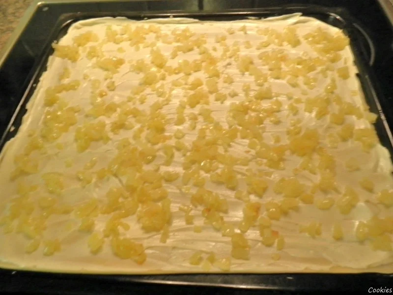 Rezept: Flammkuchen ... Bild Nr. 2715 Flammkuchen ... - Rezept - Bild Nr. 2715