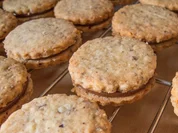 Plätzchen: Nougat-Taler - Rezept - Bild Nr. 2750