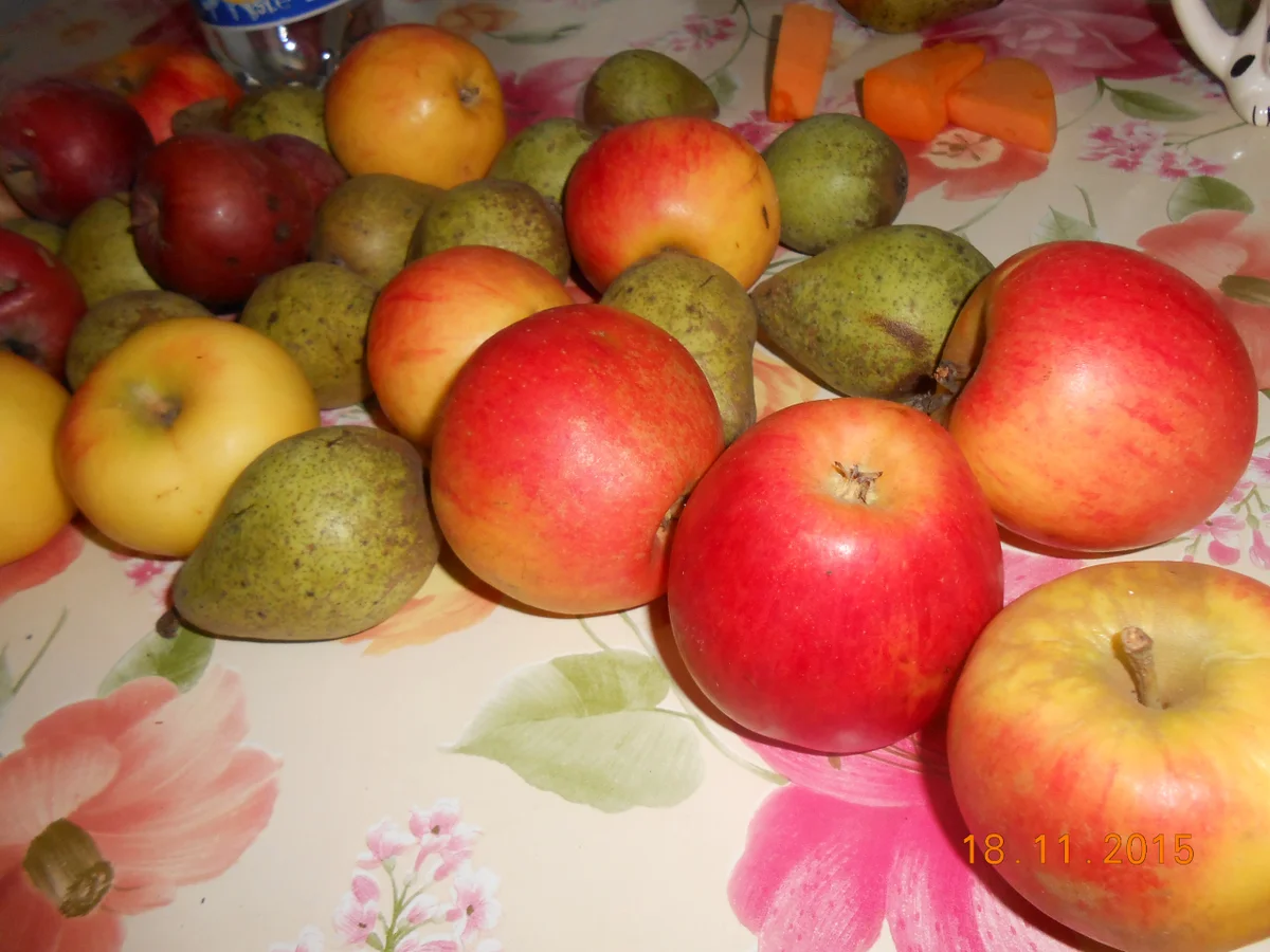 Birnen-Apfelmus - Rezept - Bild Nr. 2713