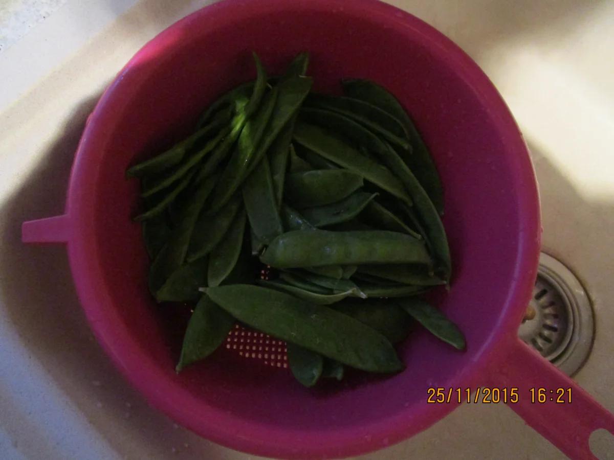 Asiatisch: Rindfleisch mit Bambussprossen - Rezept - Bild Nr. 2759