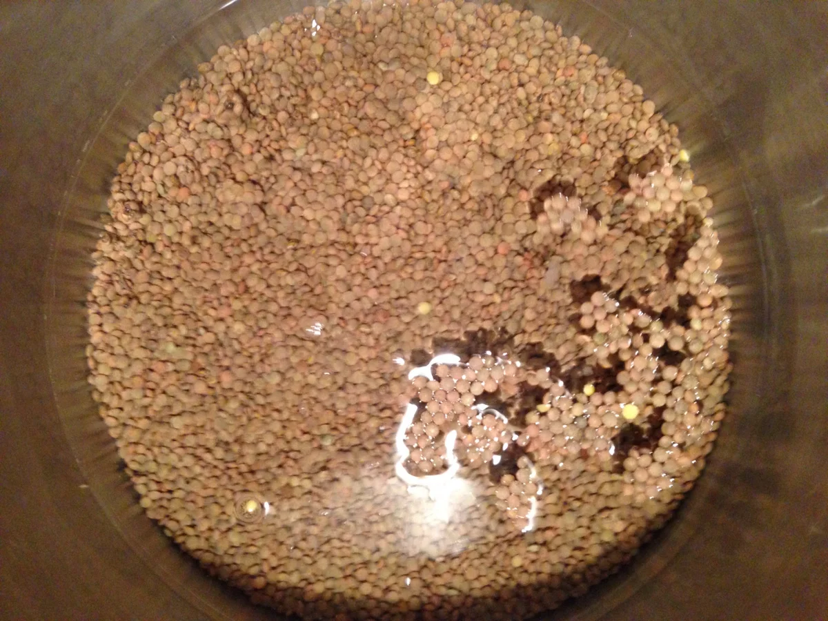 Rezept: Linsensuppe klassisch Bild Nr. 2753 Linsensuppe klassisch - Rezept - Bild Nr. 2753