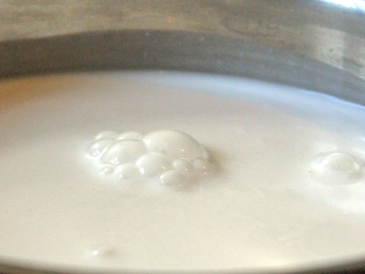 Kokos-Schokoladen-Pudding - Rezept - Bild Nr. 2777