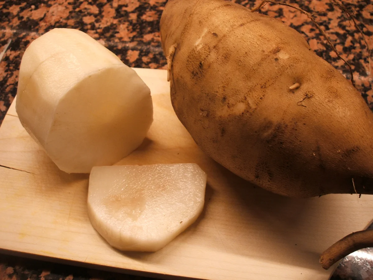 Salate: Rohkostsalat mit Yacón - Rezept - Bild Nr. 2775
