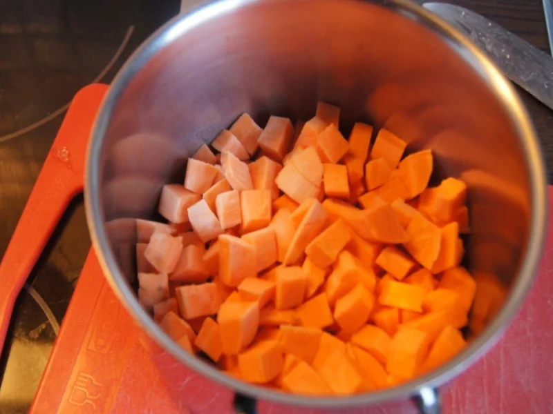 Wildlachsfilet mit Zwiebelmöhrenblüten und Süßkartoffelpüree - Rezept - Bild Nr. 2783