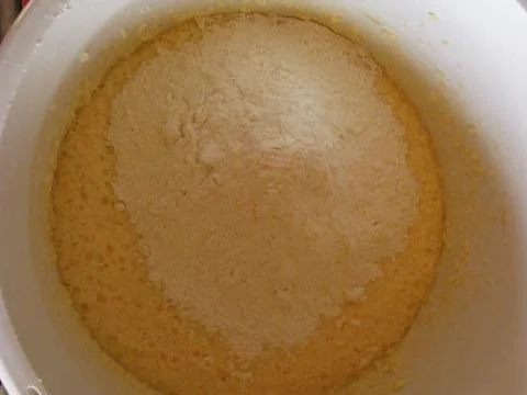 Apfelkuchen mit Kokosstreusel - Rezept - Bild Nr. 2798