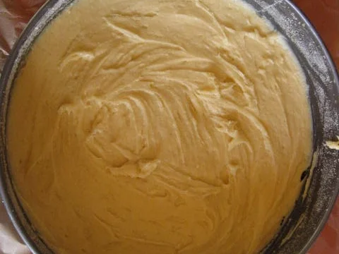 Apfelkuchen mit Kokosstreusel - Rezept - Bild Nr. 2799