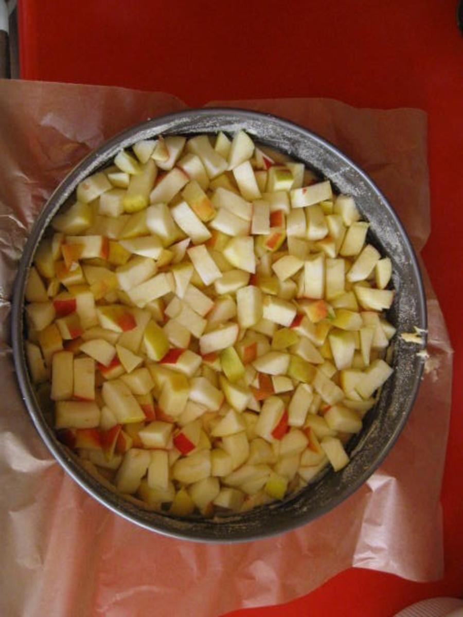 Apfelkuchen mit Kokosstreusel - Rezept - Bild Nr. 2800