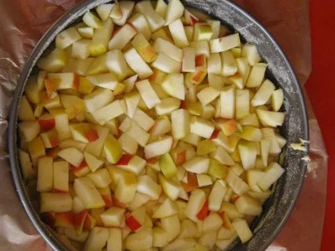 Apfelkuchen mit Kokosstreusel - Rezept - Bild Nr. 2800