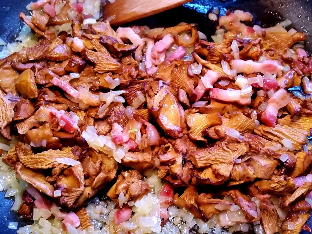 Rezept: Pfifferlings-Lasagne Bild Nr. 2841 Pfifferlings-Lasagne - Rezept - Bild Nr. 2841