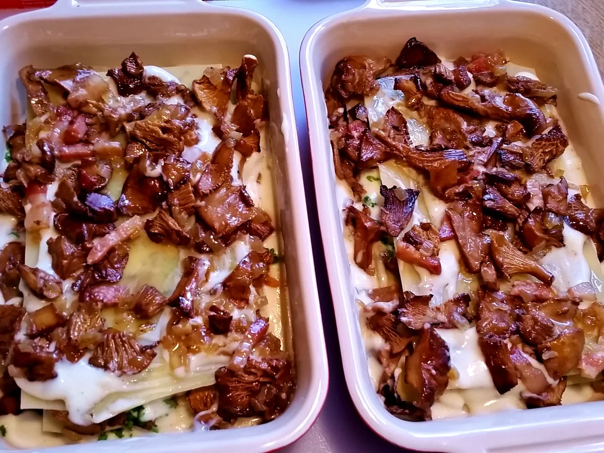 Rezept: Pfifferlings-Lasagne Bild Nr. 2845 Pfifferlings-Lasagne - Rezept - Bild Nr. 2845