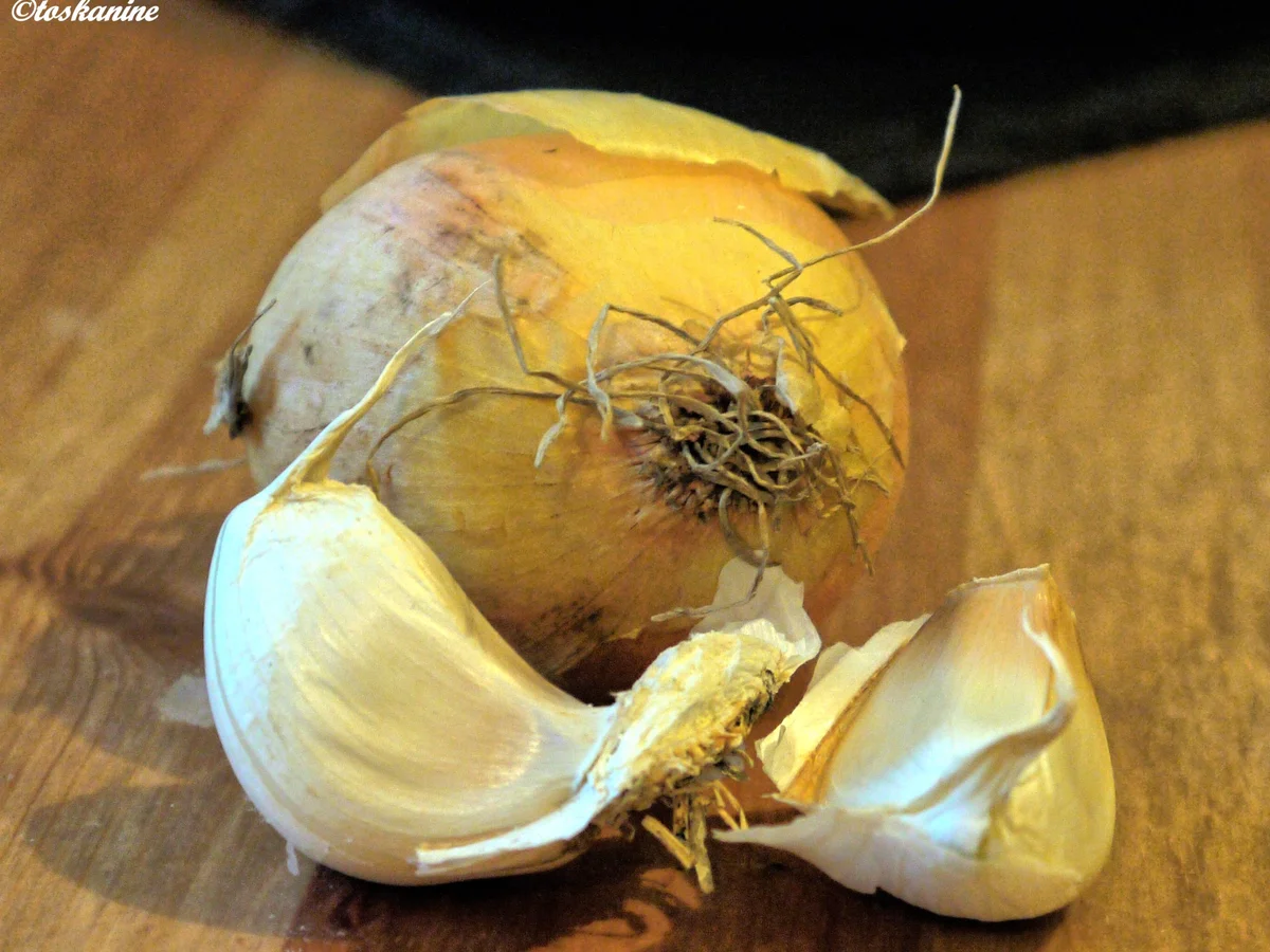 Champignons-Quiche mit Käseboden - Rezept - Bild Nr. 2920