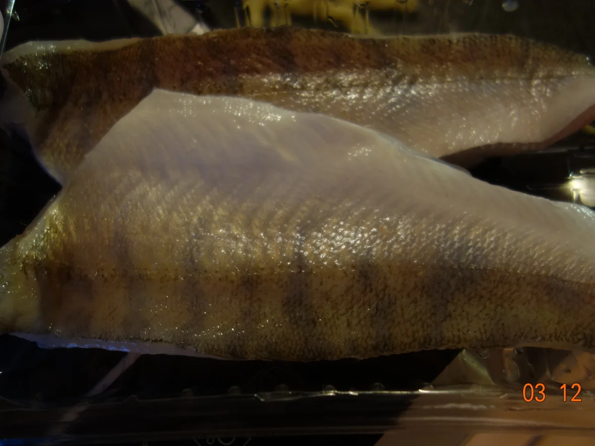 Rezept: Zanderfilet mit Haut Bild Nr. 2913 Zanderfilet mit Haut - Rezept - Bild Nr. 2913