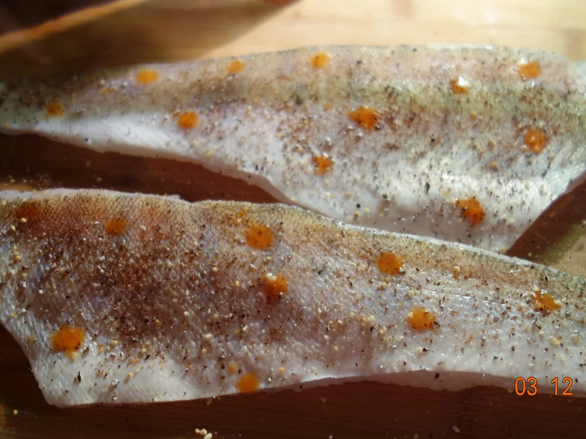 Rezept: Zanderfilet mit Haut Bild Nr. 2914 Zanderfilet mit Haut - Rezept - Bild Nr. 2914