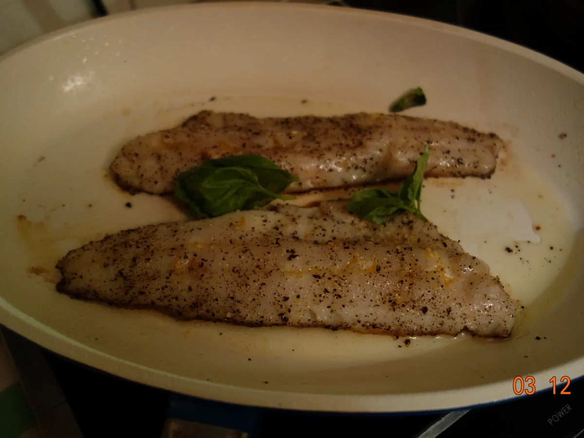 Rezept: Zanderfilet mit Haut Bild Nr. 2919 Zanderfilet mit Haut - Rezept - Bild Nr. 2919