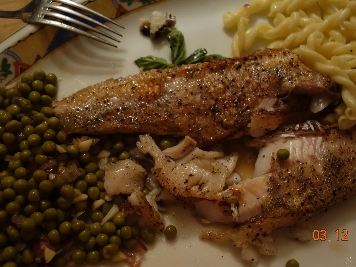 Rezept: Zanderfilet mit Haut Bild Nr. 2924 Zanderfilet mit Haut - Rezept - Bild Nr. 2924