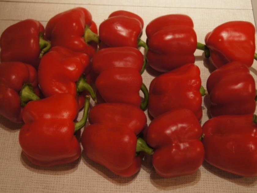 Paprika eingelegt nach Mutti Cz - einfach - von MausVoh