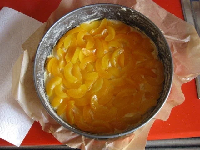 Aprikosen Mandelkuchen - Rezept - Bild Nr. 2932