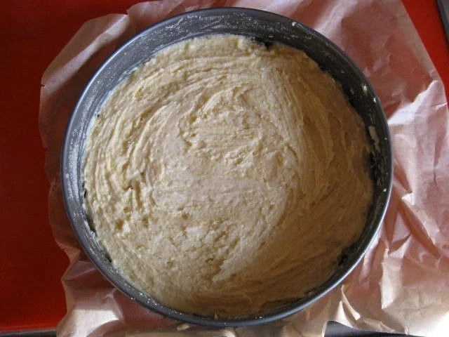 Aprikosen Mandelkuchen - Rezept - Bild Nr. 2934