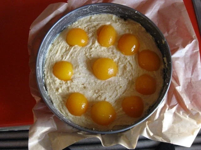 Aprikosen Mandelkuchen - Rezept - Bild Nr. 2936