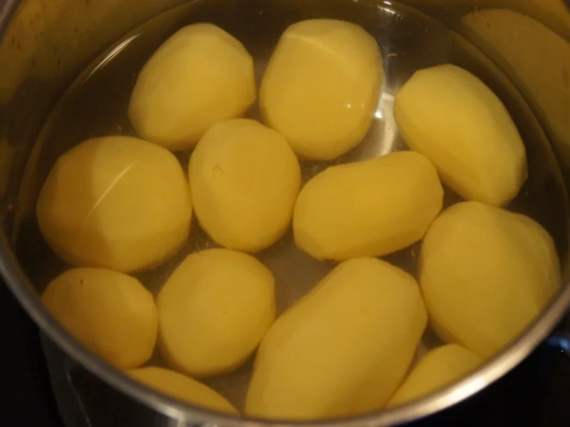 Entenschenkel mit halbseidenen Kartoffelknödeln und Rotkohl mit Wild-Preiselbeeren - Rezept - Bild Nr. 2967