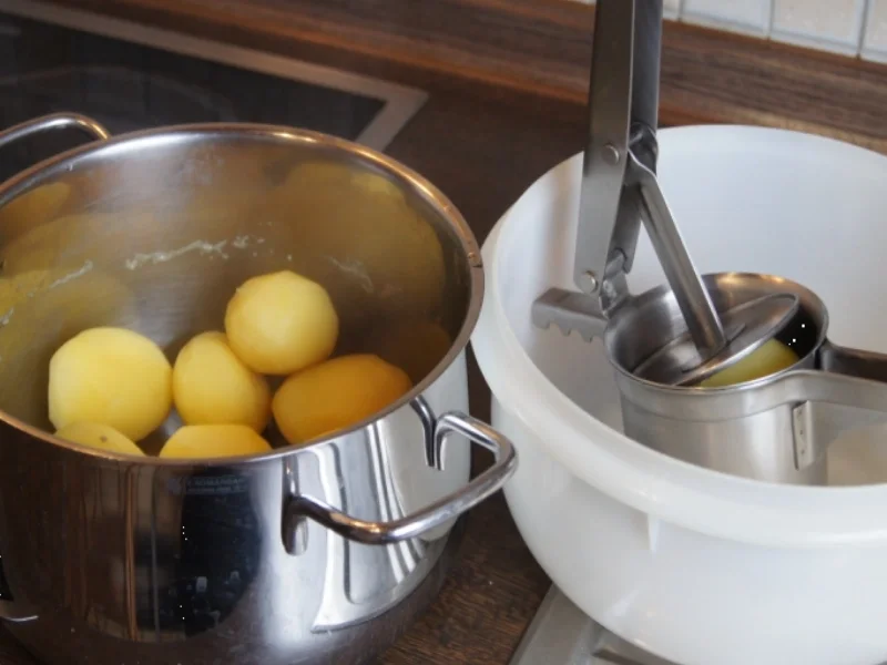 Entenschenkel mit halbseidenen Kartoffelknödeln und Rotkohl mit Wild-Preiselbeeren - Rezept - Bild Nr. 2969