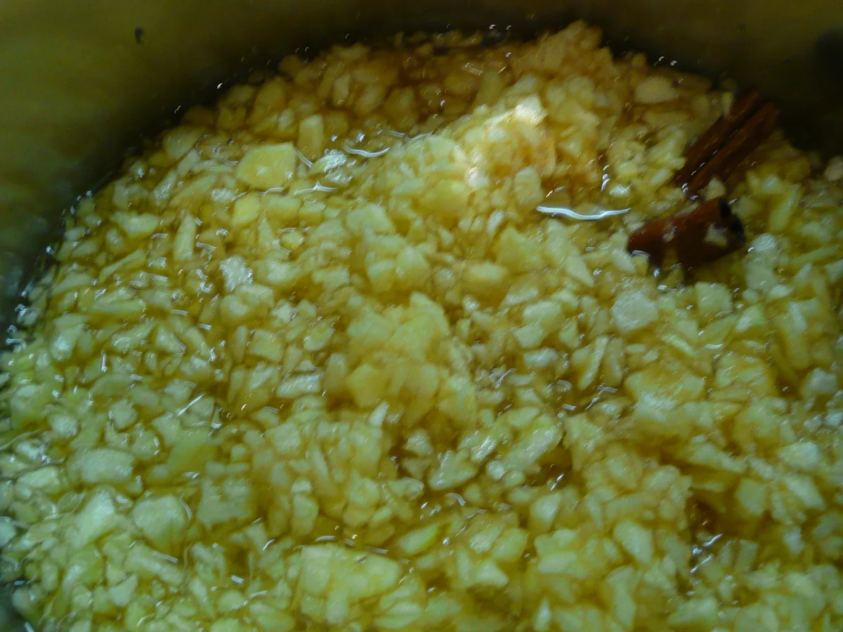 Bratapfelmarmelade - Rezept - Bild Nr. 2965