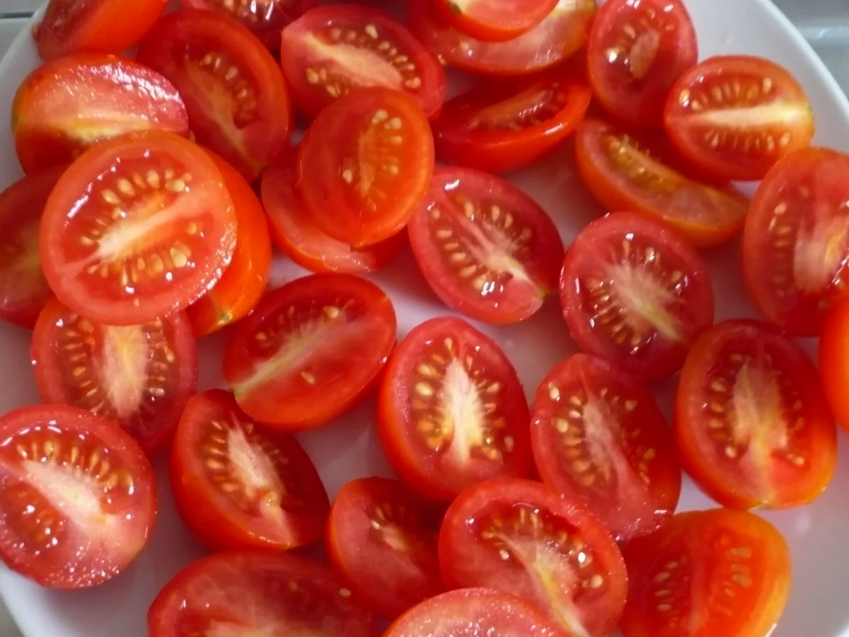 Nudelauflauf mit Tomaten und Mozzarella - Rezept - Bild Nr. 2983