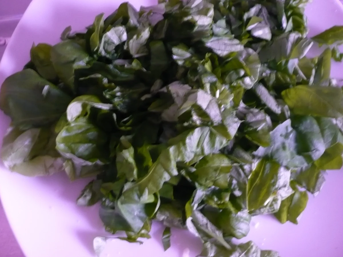 Nudelauflauf mit Tomaten und Mozzarella - Rezept - Bild Nr. 2987