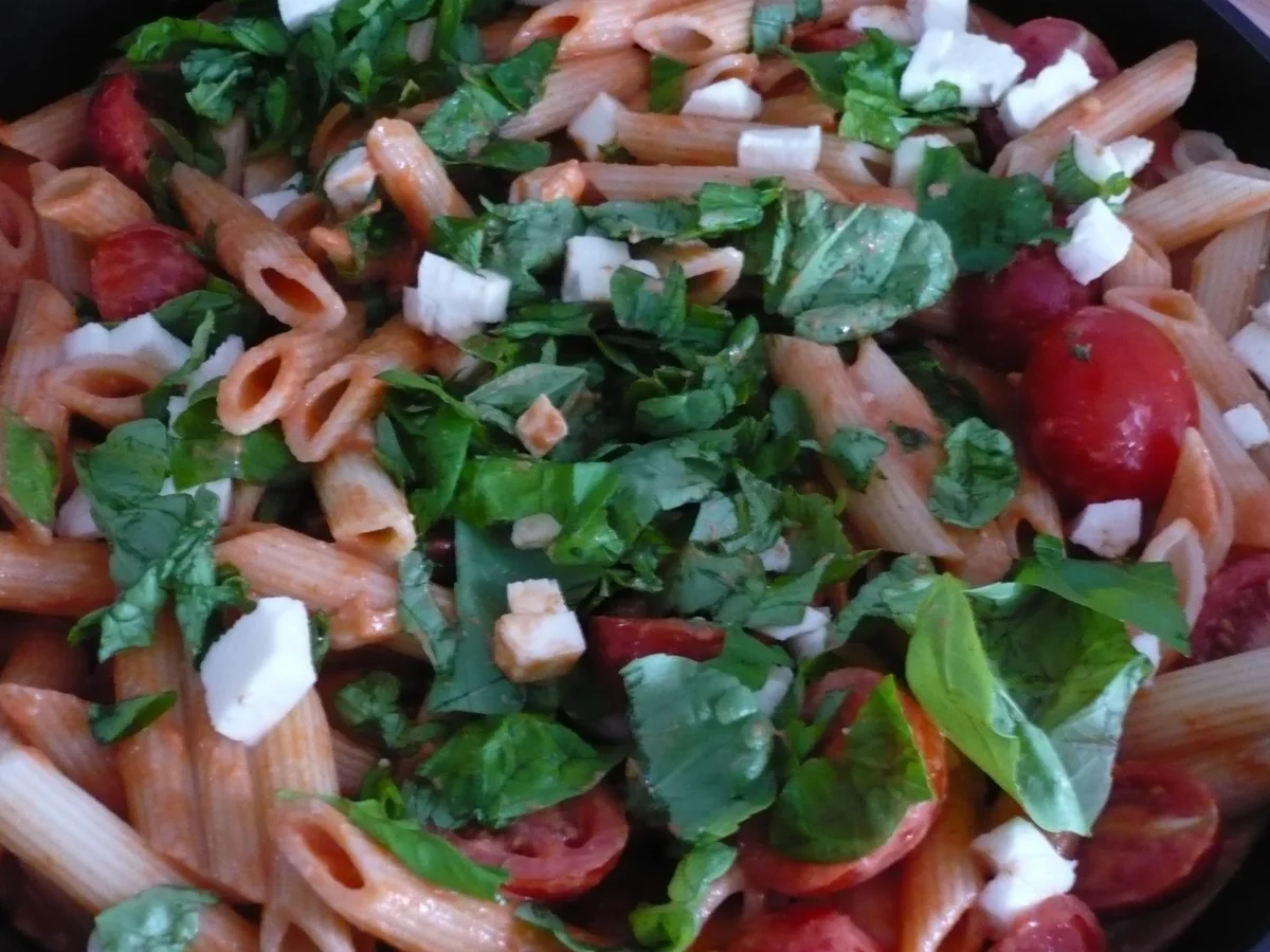 Nudelauflauf mit Tomaten und Mozzarella - Rezept - Bild Nr. 2989