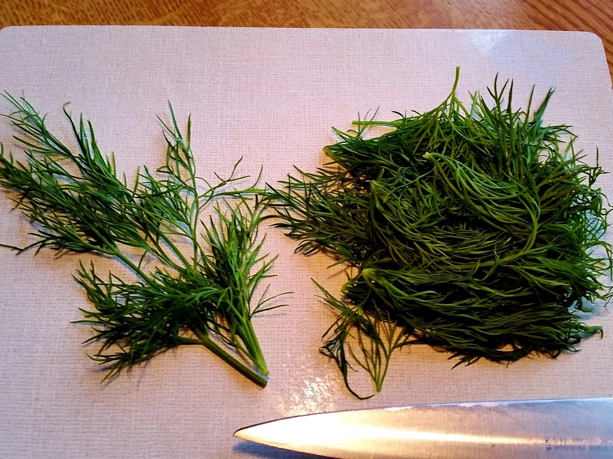 Soßen: Dillsoße mit einem Hauch von Senf ... - Rezept - Bild Nr. 3027