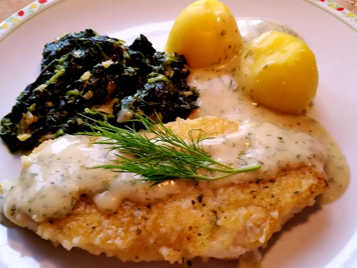 Soßen: Dillsoße mit einem Hauch von Senf ... - Rezept - Bild Nr. 3032