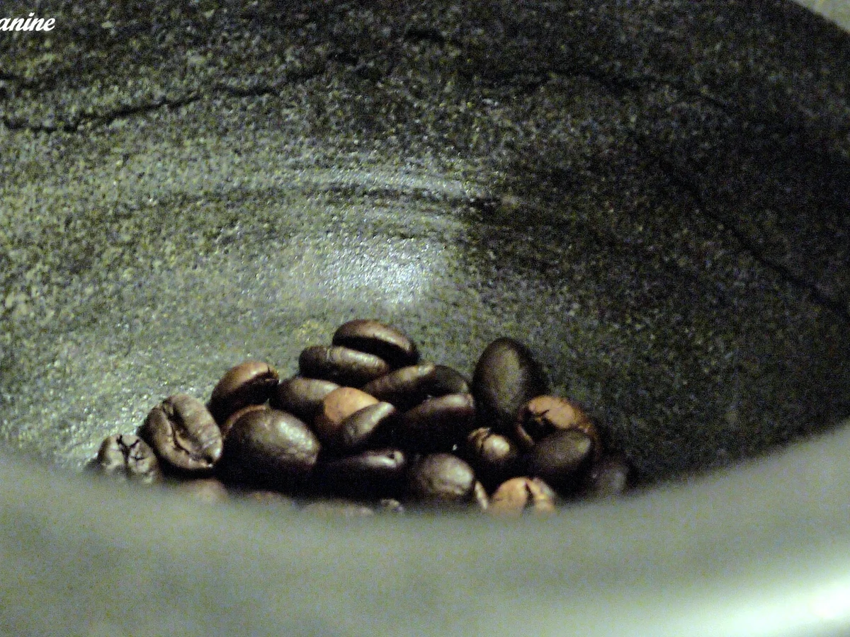 Hähnchenbrust in Kaffee-Johannisbeer-Sauce - Rezept - Bild Nr. 3057