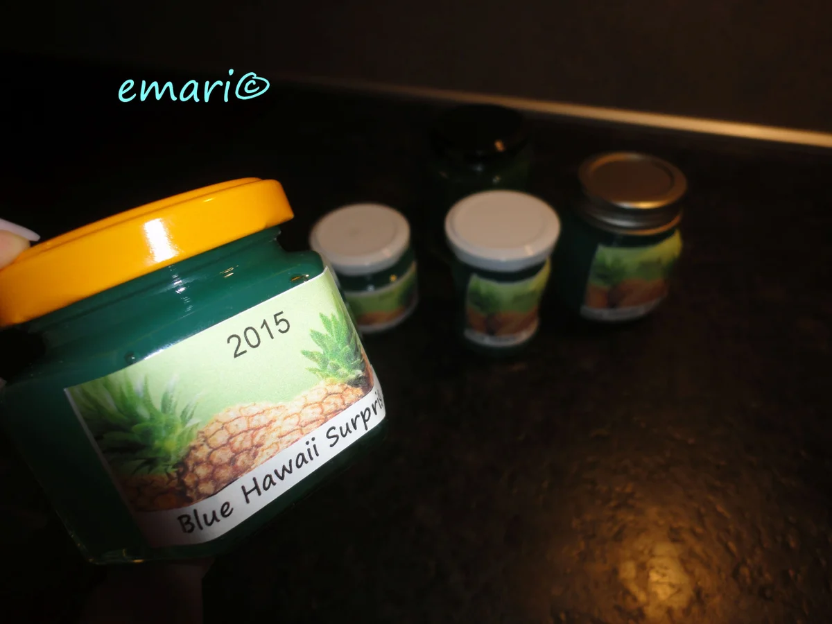 " Hawaii Surprise "  Marmelade - Rezept - Bild Nr. 3075