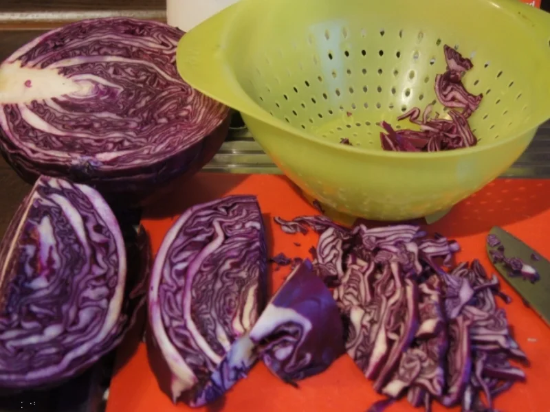 Rezept: Rotkraut-Blaukraut nach böhmischer Art Bild Nr. 3139 Rotkraut-Blaukraut nach böhmischer Art - Rezept - Bild Nr. 3139