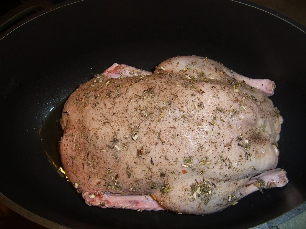 Kräuterente - Rezept - Bild Nr. 3178