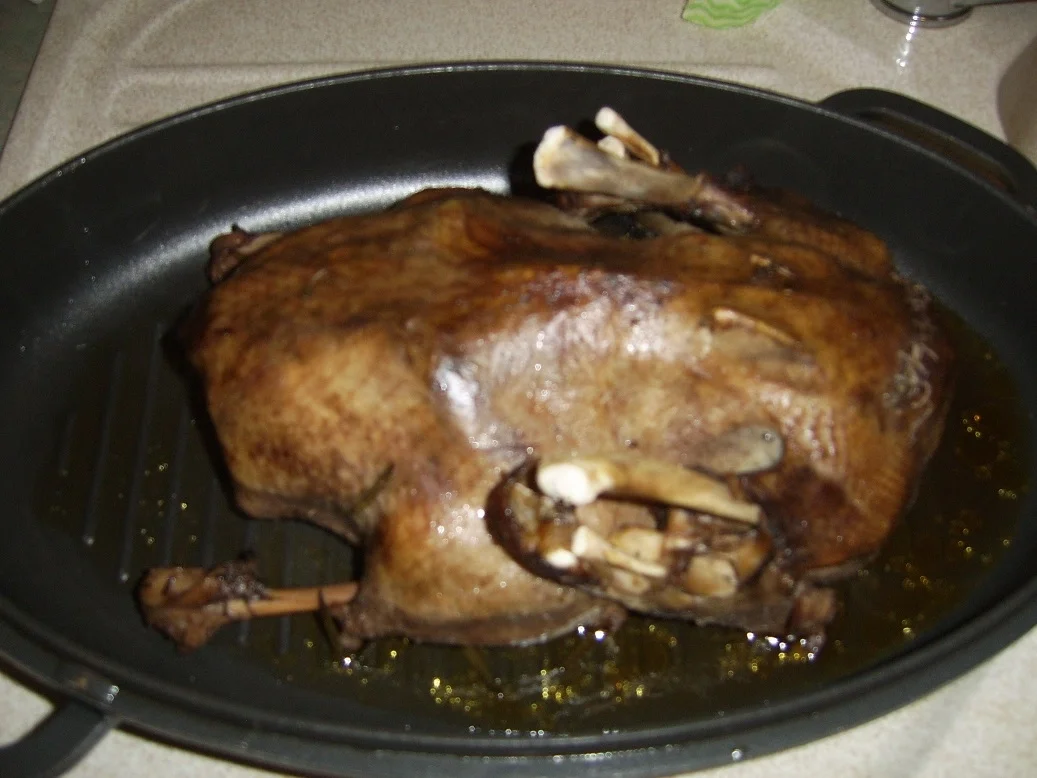 Kräuterente - Rezept - Bild Nr. 3182