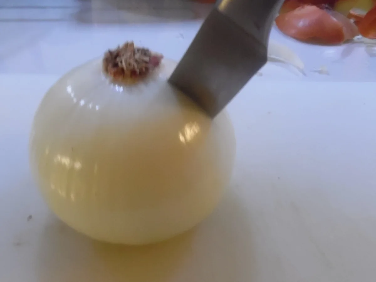 Zwiebel-Blume "Blooming Onion" - Rezept - Bild Nr. 3187