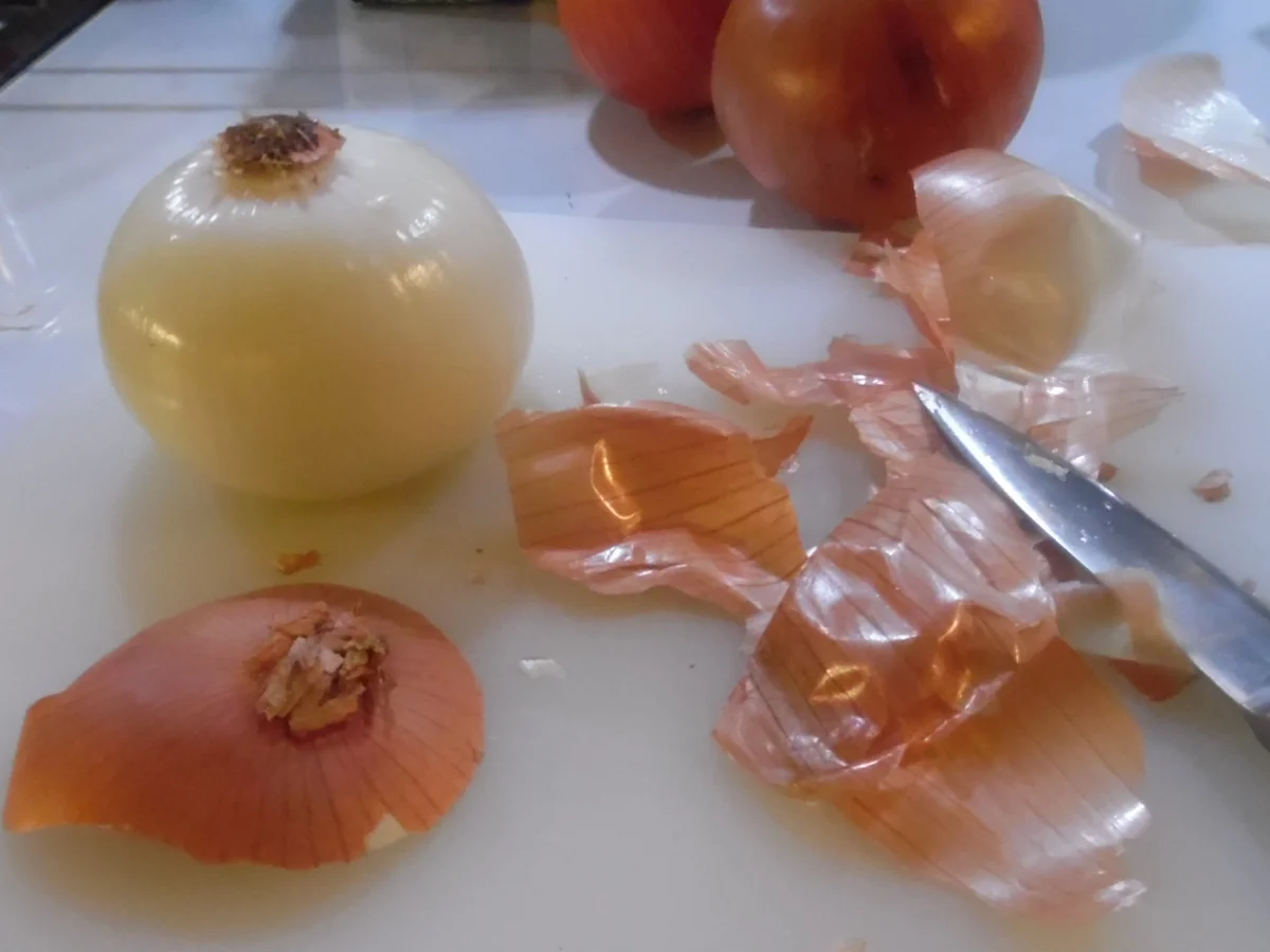 Zwiebel-Blume "Blooming Onion" - Rezept - Bild Nr. 3188