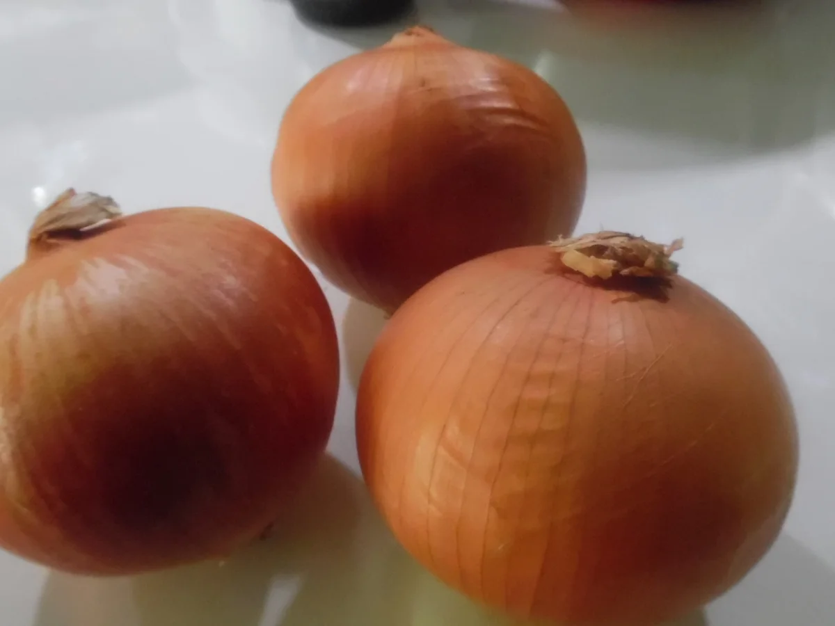 Zwiebel-Blume "Blooming Onion" - Rezept - Bild Nr. 3189