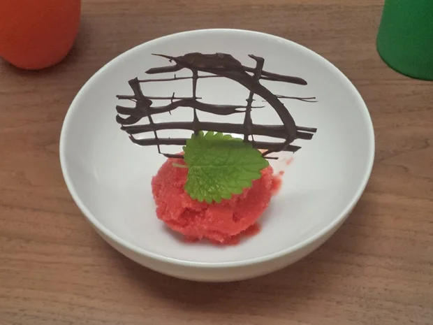 Beles Sorbet - Sorbet von der Kaktusfeige - Rezept - Bild Nr. 3207