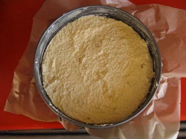 Ananas Kokoskuchen - Rezept - Bild Nr. 3294