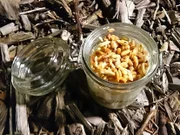Apfel-Krokant-Becher - Rezept - Bild Nr. 3348