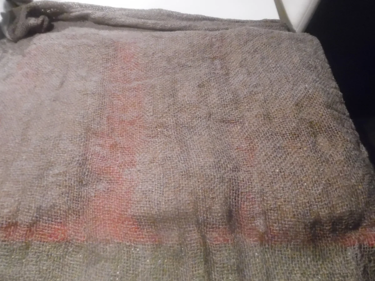 Vollkornecken - Rezept - Bild Nr. 3353