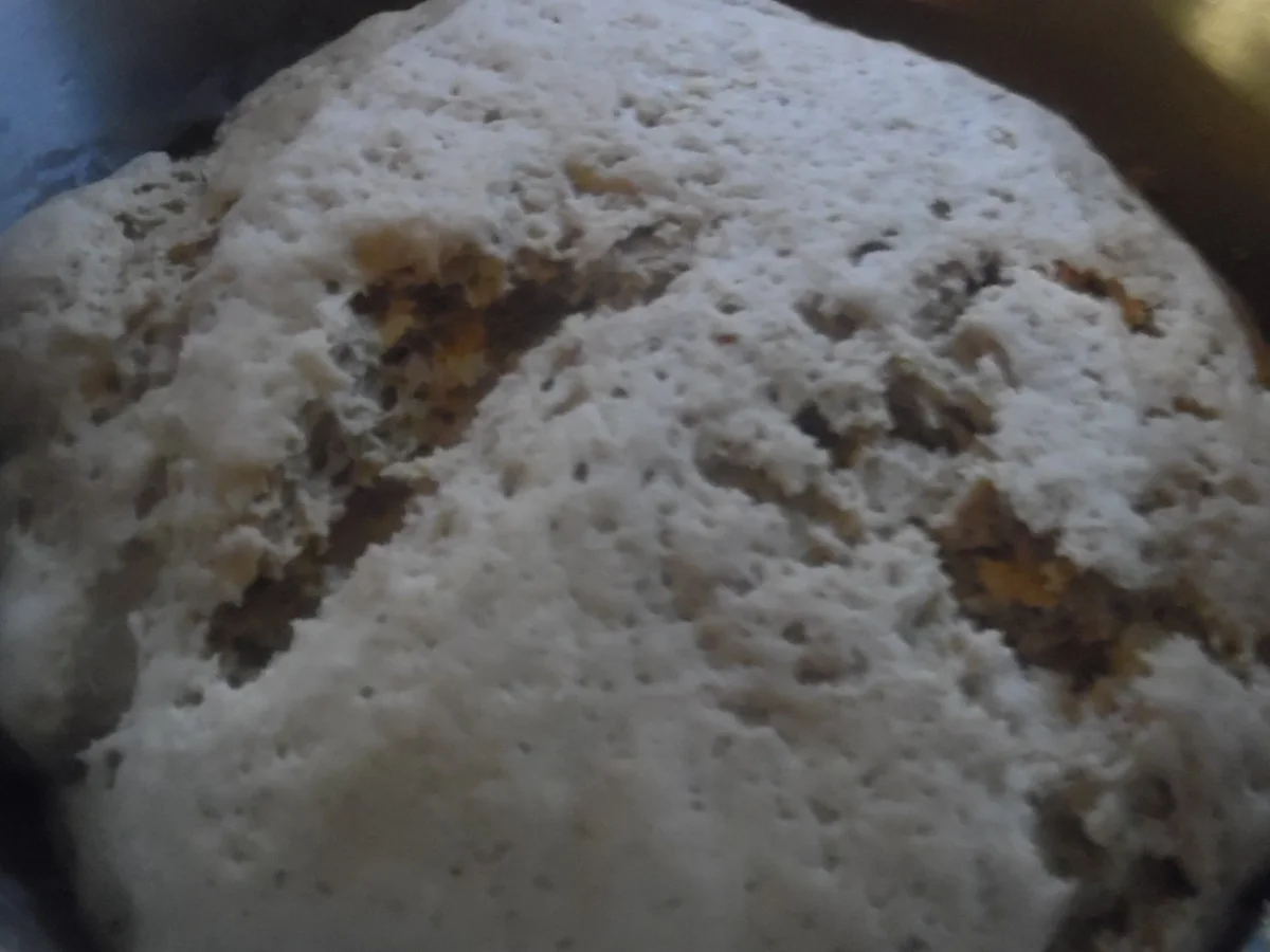 Vollkornecken - Rezept - Bild Nr. 3358