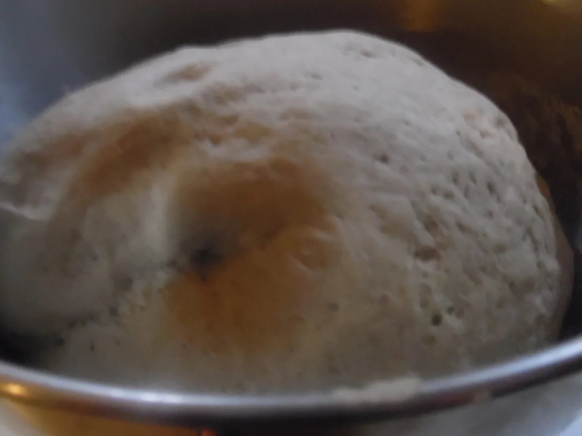 Vollkornecken - Rezept - Bild Nr. 3359