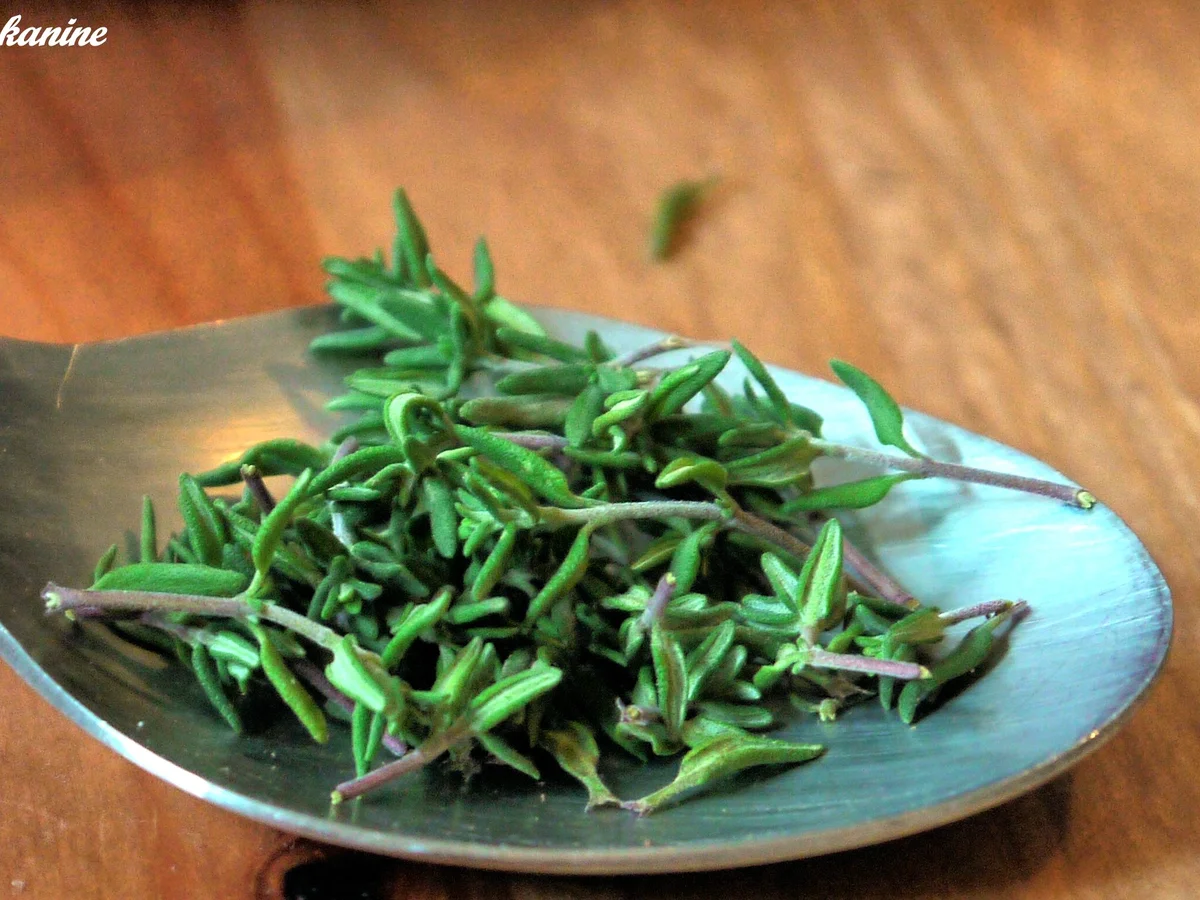 Feiner Geflügelleber-Aufstrich - Rezept - Bild Nr. 3368