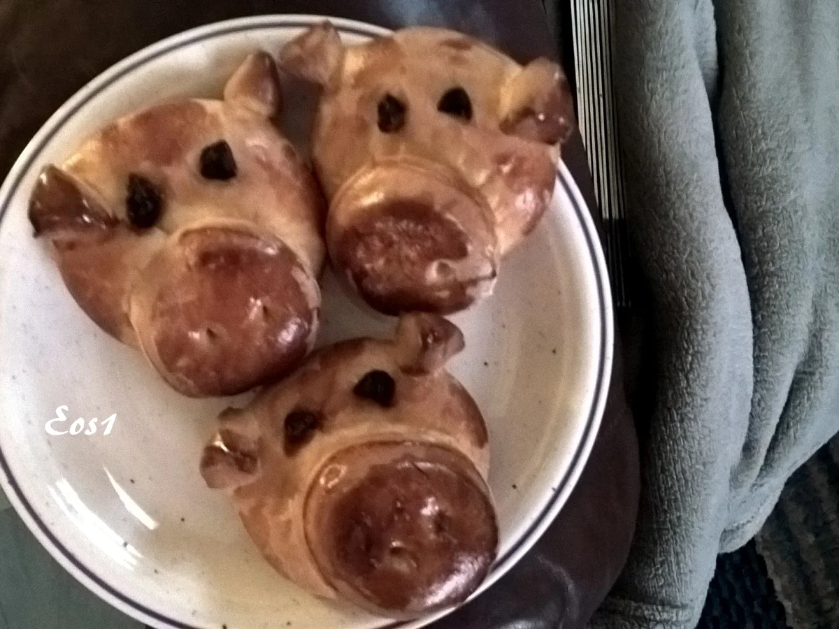 Glücksschweinchen aus Hefeteig - Rezept - Bild Nr. 3359