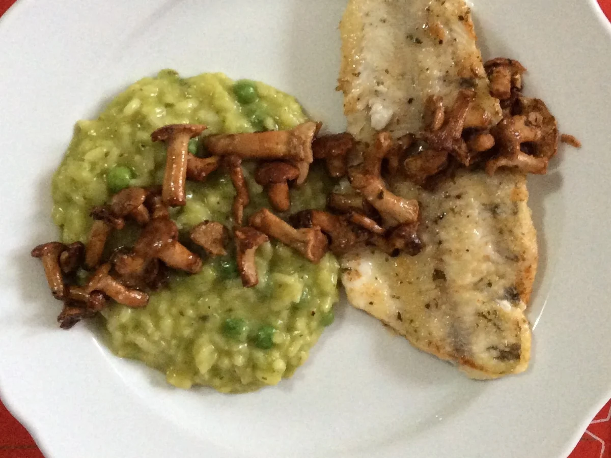 Erbsenrisotto mit Zander - Rezept - Bild Nr. 3359