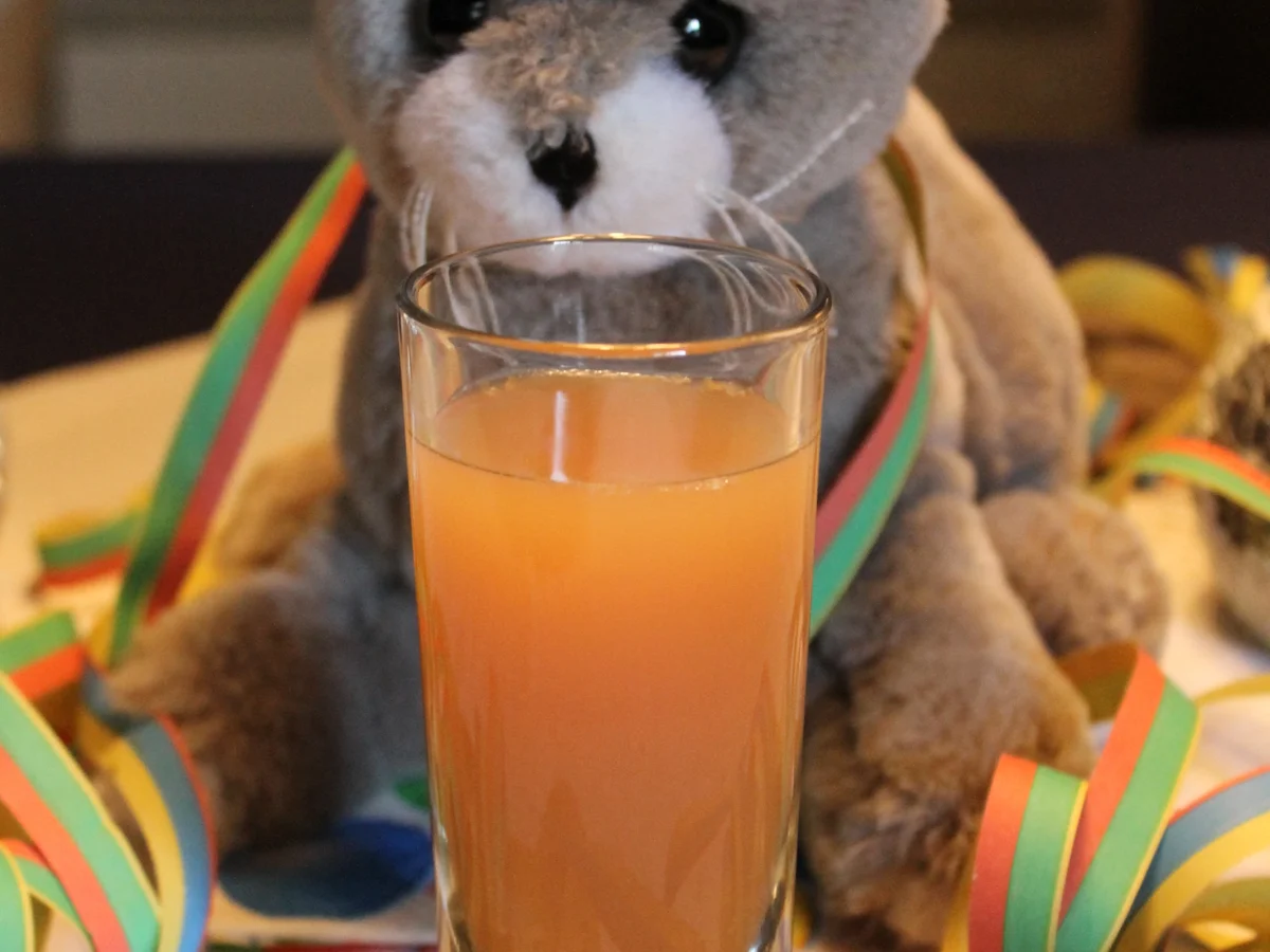 GETRÄNK: CAT-KILLER - Rezept - Bild Nr. 3359