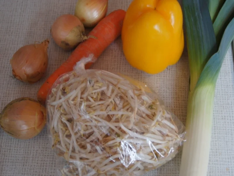 Frühlingsrollen mit pikanter Füllung - Rezept - Bild Nr. 3443